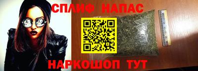 ALPHA PVP Ярославль