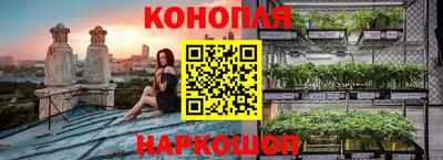 дмт Шебекино